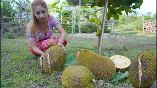 Fresh jackfruit in my countryside and cook foo recipe - Polin lifestyle