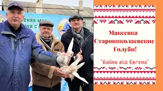 ,,  Голуби из Детства  "  -  Макеевка .