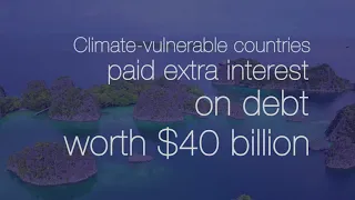 Climate Change and the Cost of Capital in Developing Countries