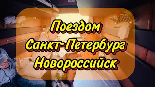 Поездка Санкт-Петербург - Новороссийск. Путешествие с Ричардом 🐶