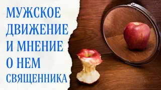 Про т.н. "мужское движение" (мое мнение)