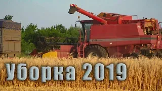 Уборка озимого ячменя 2019! CASE IH 2388.