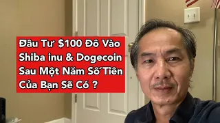 Đầu Tư $100 Đô Vào Shiba inu & Dogecoin Sau Một Năm Số Tiền Của Các Bạn Là Bao Nhiêu?