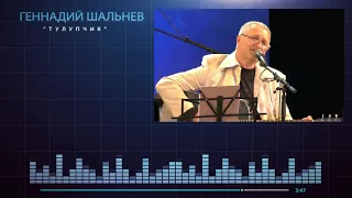 Геннадий Шальнев Тулупчик