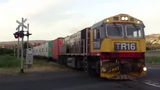 TasRail TR16 #53 Container/empty train crossing Johnston Road in St Leonards