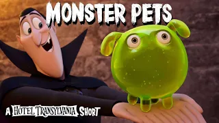 MONSTER PETS: A Hotel Transylvania Short Film