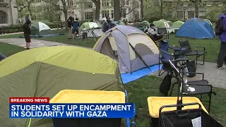 Dozens of pro-Palestinian demonstrators set up encampment at UChicago