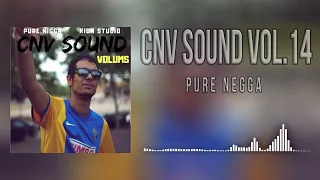 Pure Negga - Cnv Sound, Vol. 14 (Audio)