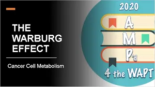 THE WARBURG EFFECT (Normal Metabolism VS Cancer Metabolism)