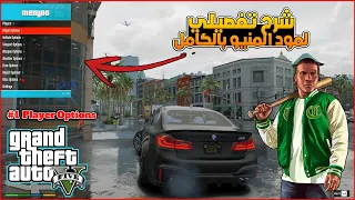 شرح مود المنيو بالكامل في قراند GTA V شرح تفصيلي | Player Options