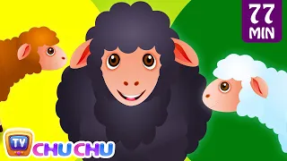 Baa Baa Black Sheep and Many More Kids Songs | Popular Nursery Rhymes Collection by ChuChu TV