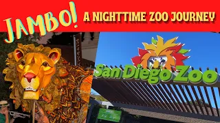 JAMBO! A NIGHTTIME ZOO JOURNEY at the WORLD FAMOUS SAN DIEGO ZOO | Special Shows, Foods & Animals!