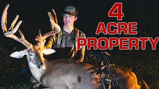 Kentucky Velvet Stud, Hunting A Deer On 4 Acres Of Property