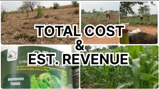 🔴 HOW TO MAKE OVER GH¢5,000 FROM ONE ACRE MAIZE FARM (TOTAL COST & EST. REVENUE) || ASHCo TV