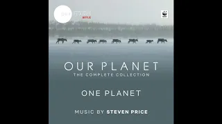 Where Life Gathers | Our Planet: The Complete Collection OST