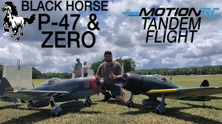 Black Horse P-47D & Zero Tandem Flight at Joe Nall 2022 | Motion RC