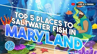 Top 5 Places to Saltwater Fish in Maryland