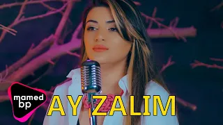 Aytac VidadiQizi - Ay Zalim 2022 (COVER MUSIC VIDEO)