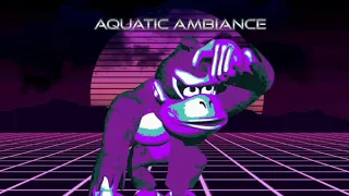 Donkey Kong Country - Aquatic Ambience Vaporwave Remix