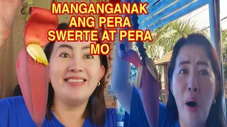 MANGANGANAK ANG PERA AT SWERTE MO-APPLE PAGUIO7