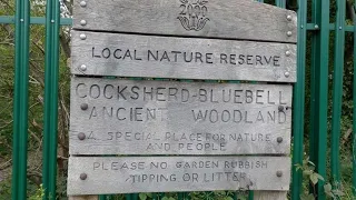 Cocksherd Wood Aka "Bluebell wood" - Britwell/Slough Uk(History in description).