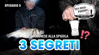 Pesca a BOLOGNESE: 3 SEGRETI per la pesca alla SPIGOLA » SEA BOLO Passion S4E5