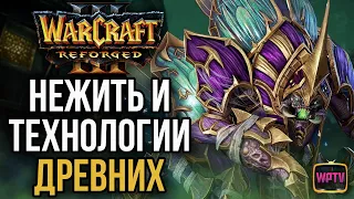 НЕЖИТЬ И ТЕХНОЛОГИИ ДРЕВНИХ: Warcraft 3 Reforged