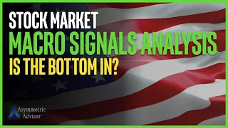 Stock Market Macro Signals Analysis, Is The Bottom In?