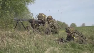 The strength of NATO. Fear Russia.Estonian army