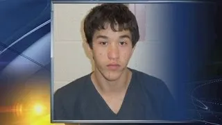 Teen pleads guilty to killing father