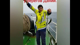 Рыбалка у берегов Дании. Ловля скумбрии на селёдочную снасть. Fishing in Denmark mackerel catching.