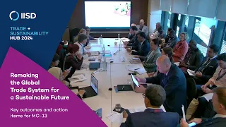 Remaking the Global Trade System for a Sustainable Future: Key outcomes and action items for MC-13