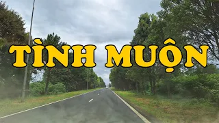 Hồi Ký Miền Nam | TÌNH MUỘN