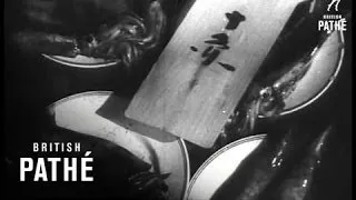 Tokyo Today 1948 (1948)