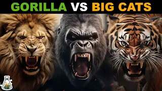 How Strong is a Gorilla Compared to Big Cats?