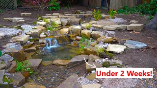 Building a Natural Stream in 10 Days!