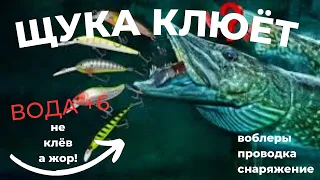 ЩУКА ВЕСНОЙ! Вода холодная - рыба голодная!