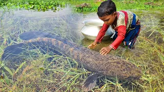 Amazing Traditional Boy Fish Catching By Hand in Water | Amazing Hand Fishing Video #Fish