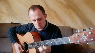 Pink Panther - Tommy Emmanuel (cover by Mauro Vanzani)