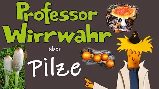 Professor Wirrwahr über Pilze, Doku für Kinder, Wissenssendung, Wissenswertes über Fliegenpilze usw.