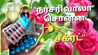 பைசா செலவு இல்லை|NURSERY SECRET FERTILIZER