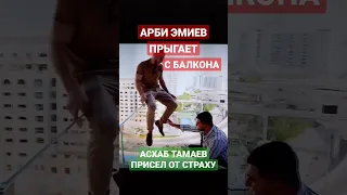 АСХАБ ТАМАЕВ ПРИСЕЛ ОТ СТРАХУ,АРБИ АГРЕССОР ЭМИЕВ ПРЫГАЕТ С БАЛКОНА😂