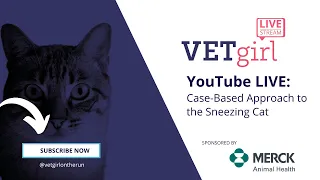 November 28, 2023: YouTube LIVE: Case-Based Approach to the Sneezing Cat