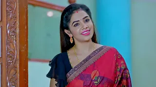 Mithai Kottu Chittemma - మిఠాయి కొట్టు చిట్టెమ్మ - Telugu Serial - EP - 494 - Anjana - Zee Telugu