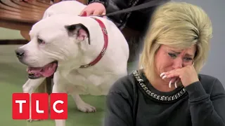 Sorge um Hund Petey | Long Island Medium | TLC Deutschland