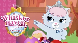Slipper-Sparkle | Whisker Haven Tales with the Palace Pets | Disney Junior