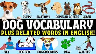 Learn Basic Dog Vocabulary in English | Glossary | Pronunciation | Example Sentences | Nouns 🐶