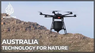 Biotech firm aims to use drones to plant 100 million trees globally