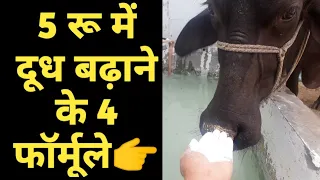 5 रु में दूध बढ़ाने के 4 देसी उपाय|Desi Formule for increasing Milk|Dudh badane ke nuskhe