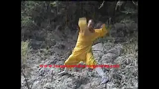 templo Shaolin Latinoamerica